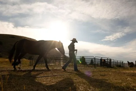 Meet the American Cowgirls Redefining Contemporary Ranching