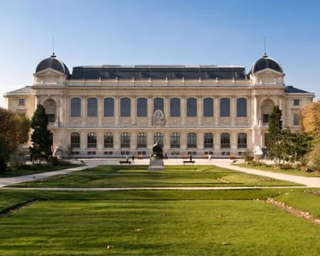 Historic Golden Specimens Stolen in Bold Raid at French National Institution